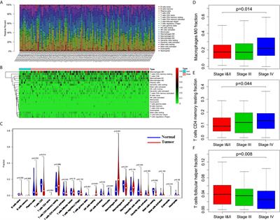 Influence of Immune Microenvironment on Diagnosis and Prognosis of Head and Neck Squamous Cell Carcinoma